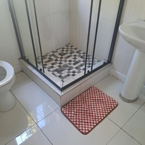a bathroom with a shower and a toilet and a rug at Moonlight Guesthouse in Pretoria