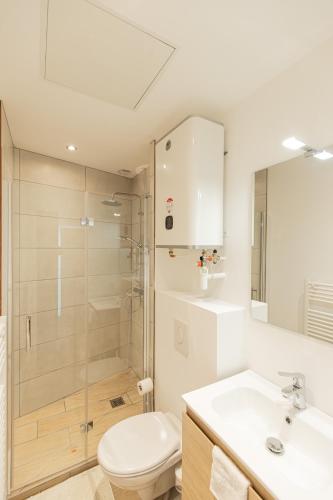 une salle de bain avec une douche, des toilettes et un lavabo dans l'établissement Le Belvédère - Résidence Hestia, à Saint-Étienne