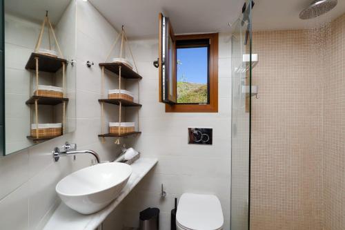 a bathroom with a sink and a toilet and a mirror at Olivia's Countryside House in Krotiri