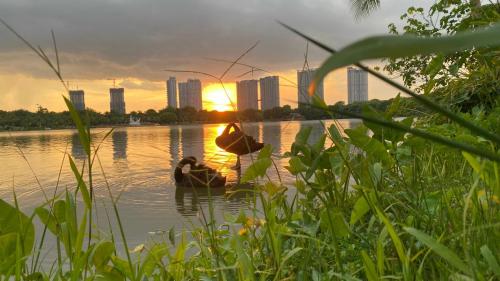 The best view – Photos 5