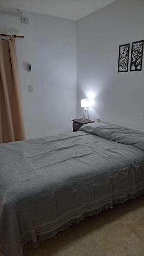 a bedroom with a bed and a lamp on a table at ayacucho pb B un dormitorio in Resistencia