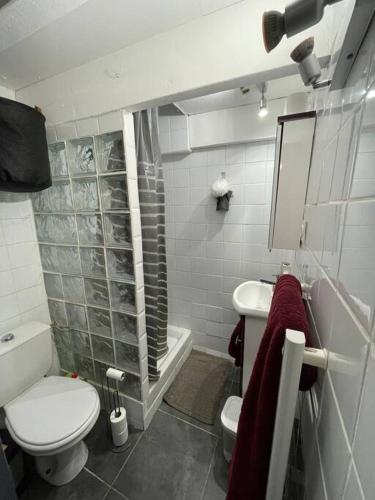 une salle de bain avec toilettes, lavabo et douche dans l'établissement L'Alessandro, à Aix-en-Provence