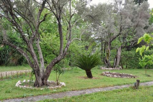 Villa Erietta & Villa Ariana near Lefkas center