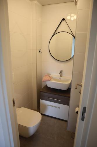 bagno con lavandino, servizi igienici e specchio di Veronika a Fiume (Rijeka)