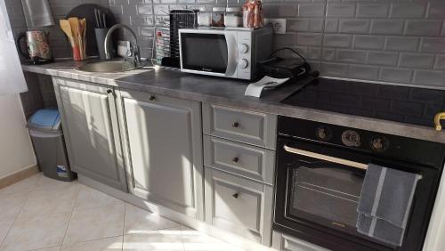 a kitchen with a counter with a microwave and a stove at Apolonija in Rijeka