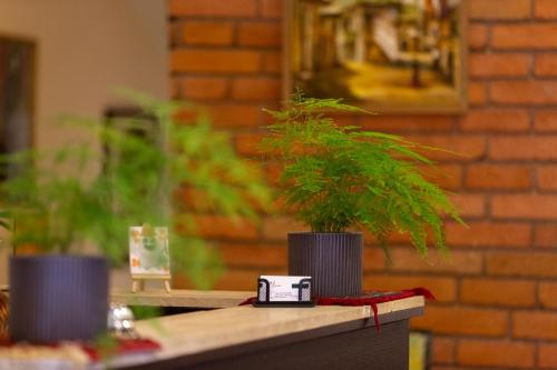 two potted plants sitting on top of a table at Elea Old Tbilisi Hotel in Tbilisi City