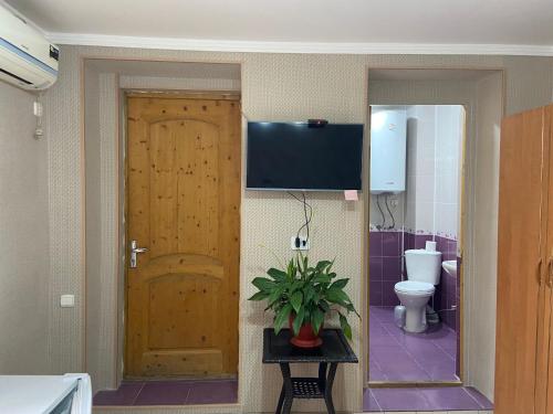 ein Bad mit WC und ein TV an der Wand in der Unterkunft У Сергея и Веры in Gagra