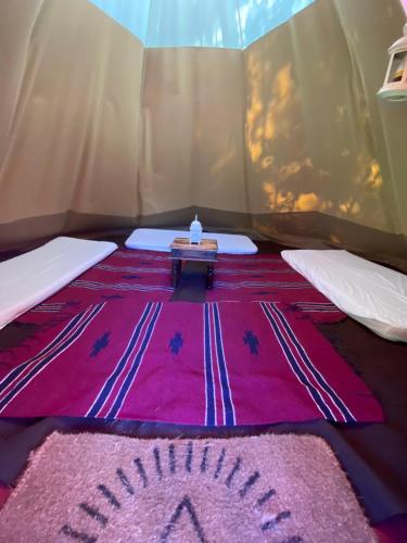 Foto dalla galleria di Nature's Spectacular a Chew Stoke