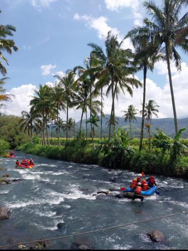 a group of people rafting down a river with palm trees at Rumah Gadang Tokama, Simarasok in Baso