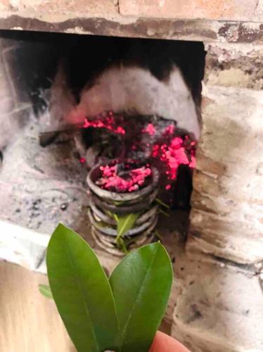 a fire place with a pot of flowers and a plant at La-Marti, Idyllische Unterkunft mit Kamin in Bagdatʼi