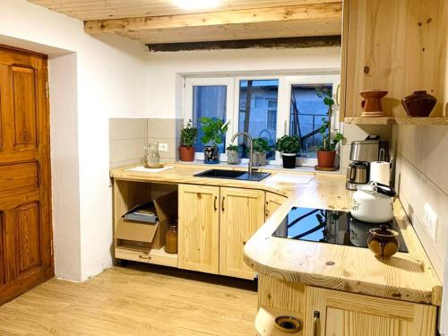 a kitchen with wooden cabinets and a counter top at La-Marti, Idyllische Unterkunft mit Kamin in Bagdatʼi