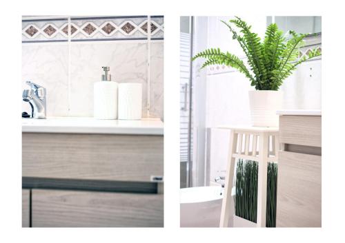 un bagno con un lavandino e una pianta in vaso di Dream Papagayo a Playa Blanca