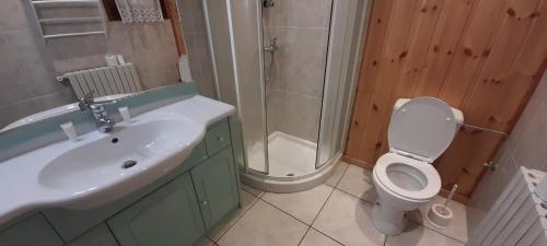 une salle de bain avec un lavabo, des toilettes et une douche dans l'établissement Chambre à louer à la nuitée, à Lanslebourg-Mont-Cenis