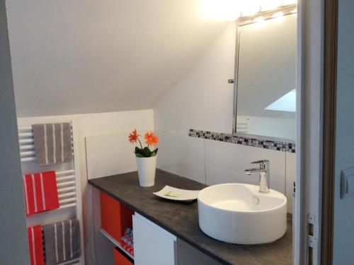 a bathroom with a sink and a mirror at La Vigie in Couëron