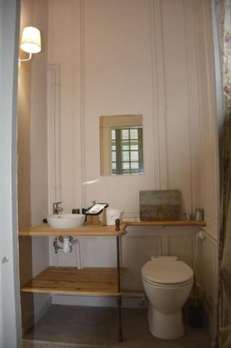 une salle de bain avec toilettes et lavabo dans l'établissement Gîte du Château Montchevreau, à Cosne Cours sur Loire