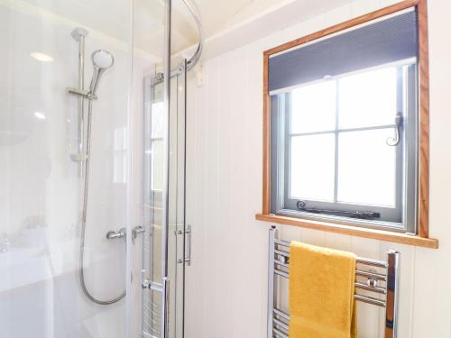 a bathroom with a shower and a window at Godrevy Shepherds Hut in Hayle