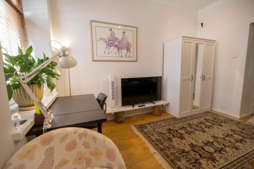uma sala de estar com uma televisão, uma cadeira e uma mesa em A Lovely apartment near Railway station and Arena. em Tampere