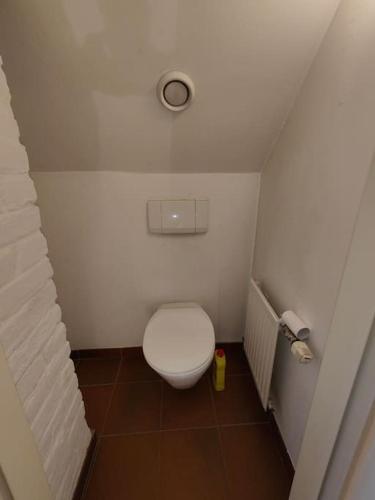 a small bathroom with a toilet in a room at Gemütliches Haus mit schönem Garten in Vienna