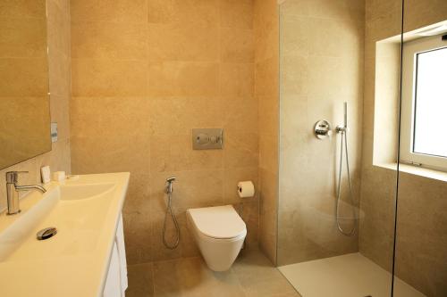 La salle de bains est pourvue de toilettes, d'un lavabo et d'une douche. dans l'établissement Hotel Navarras, à Amarante