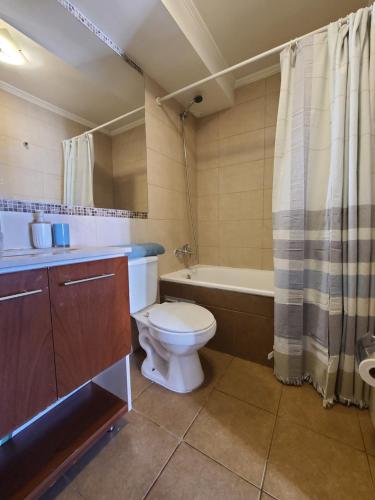 a bathroom with a toilet and a bath tub at Departamento Santa Lucía in Santiago