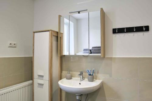 ein Bad mit einem Waschbecken und einem Spiegel in der Unterkunft Heide Ferienwohnung in Schneverdingen