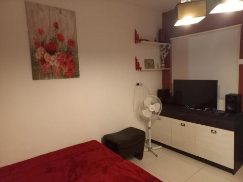 1 dormitorio con 1 cama, TV y ventilador en Your Space, en Donji Stoliv