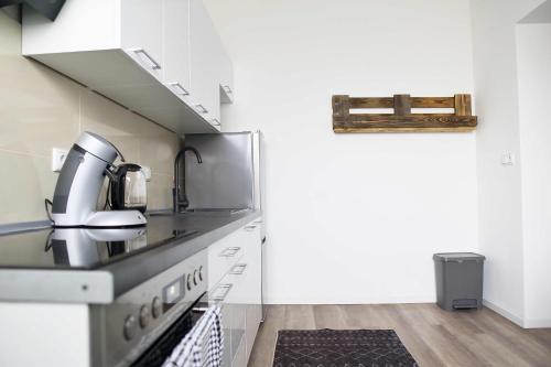 a kitchen with a sink and a coffee maker on the counter at Heide Ferienwohnung Süd Nr-2 in Schneverdingen