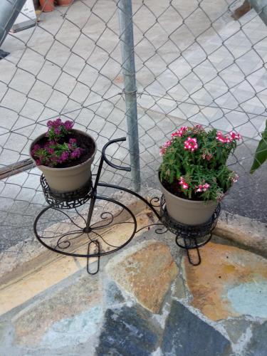 Gambar di galeri bagi Annas apartment 2 (AgiosNikolaos) di Áyios Nikólaos
