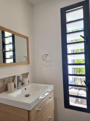 uma casa de banho com um lavatório, um espelho e uma janela em Le Panorama Intense em Cilaos