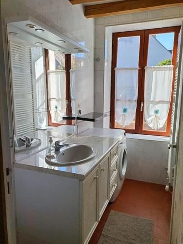 une salle de bain avec un lavabo et une machine à laver dans l'établissement Un Gîte entre Beauval et Chambord, à Chémery