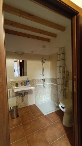 a bathroom with a toilet and a sink at B&B Kikina in Austis