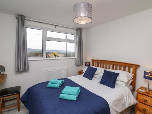 a bedroom with a bed with blue pillows on it at Gwynant in Ystrad Meurig