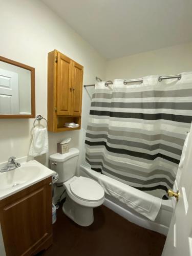 uma casa de banho com um lavatório, um WC e um chuveiro em Chic Catskills Getaway Bungalow em Hurleyville