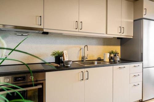 Kjøkken eller kjøkkenkrok på Flott leilighet MIDT i Tønsberg!
