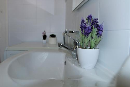 Spacious Apartment Near Old Town