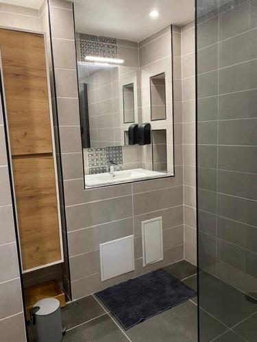 a bathroom with a shower with a sink and a mirror at brin de mer in Saint-Pierre