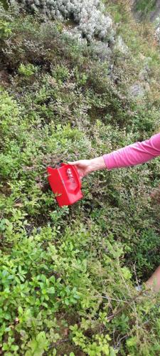 a persons arm holding a red object in the grass at Davids Stuga in Klässbol