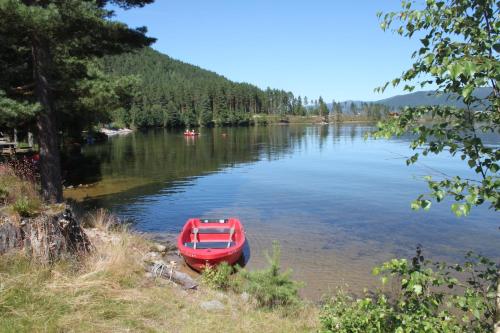 a red boat sitting on the shore of a lake at Nisser Hyttegrend og Camping in Fjone