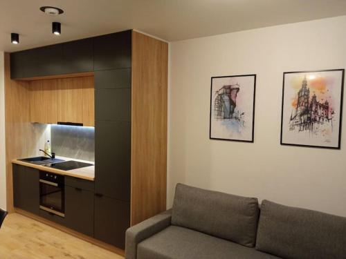 ein Wohnzimmer mit einem Sofa und einer Küche in der Unterkunft Apartament Nowa Stocznia in Danzig
