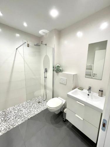 une salle de bain avec toilettes, lavabo et douche dans l'établissement Les Constellations - Beaulieu-sur-Mer, à Beaulieu-sur-Mer