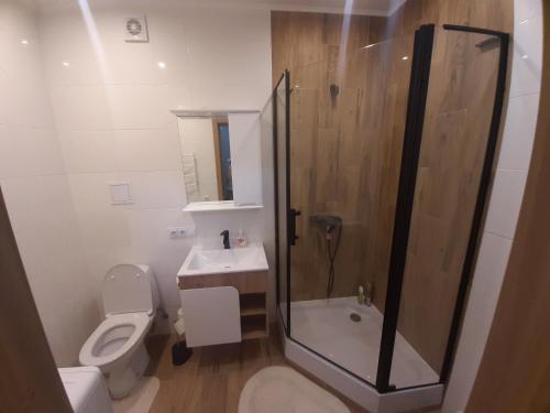 a bathroom with a shower and a toilet and a sink at Апартаменти з власним двориком in Khotov