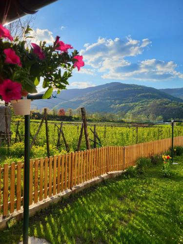Paisaje cerca de este apartamento