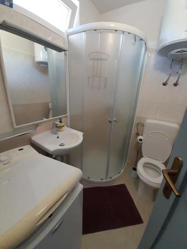 a bathroom with a shower and a toilet and a sink at App Goga in Umag