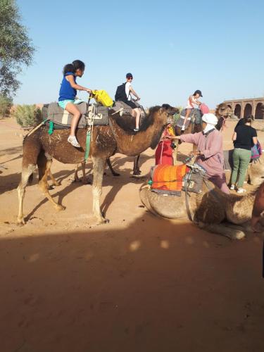 a group of people riding on the backs of camels at Chez Meriem in Merzouga