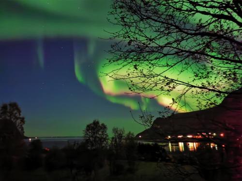 una imagen de la aurora bailando en el cielo en Rystad midnight sun and nature, en Rystad