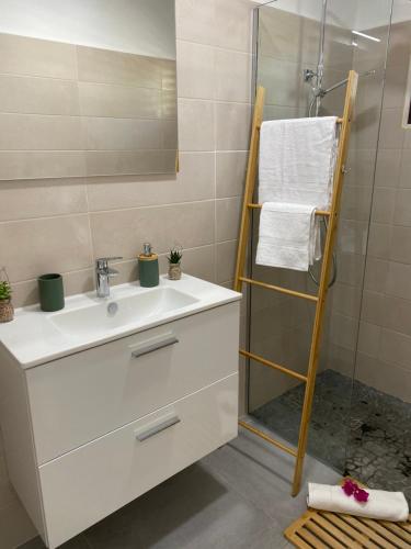 ein Badezimmer mit weißem Waschbecken und Dusche in der Unterkunft Villa Matouba in Saint-François