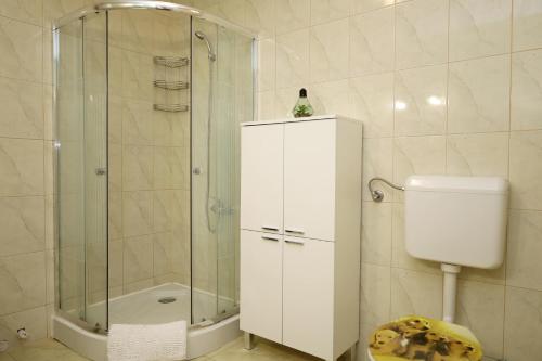 a bathroom with a shower and a toilet and a sink at Apartment Pojatica Sumartin in Sumartin