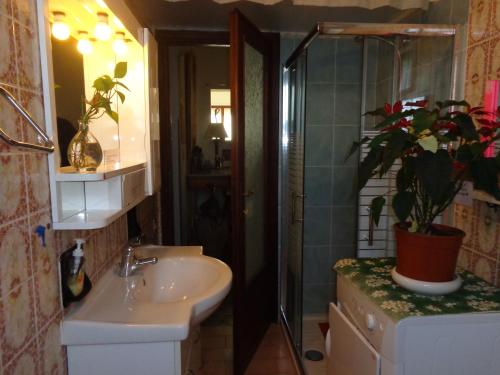uma casa de banho com um lavatório e um vaso de plantas em Maison De Dora em San Giuliano Terme