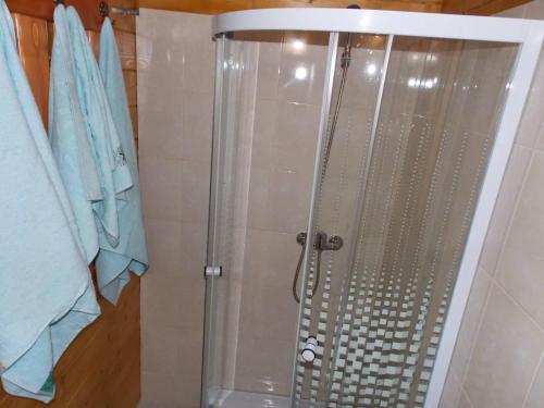a shower with a glass door in a bathroom at Căsuțe Suzanne Băile Figa-cu aer conditionat in Beclean