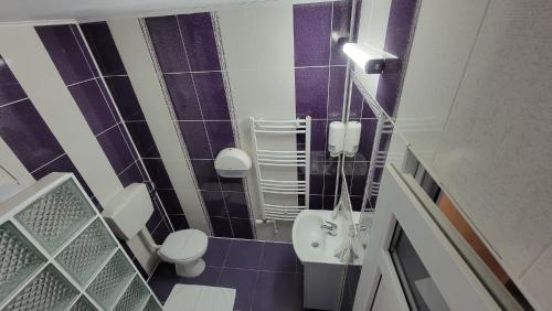 巴亞馬雷的住宿－Hotel IMPERYUM，一间带卫生间和水槽的小浴室